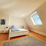 Apartman Rheinloft 3 - Grosse Giebelwohnung Mit Dachterrassen An Der Rheinpromenade *