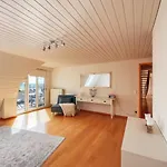Rheinloft 3 - Grosse Giebelwohnung Mit Dachterrassen An Der Rheinpromenade Emmerich