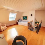 Rheinloft 3 - Grosse Giebelwohnung Mit Dachterrassen An Der Rheinpromenade