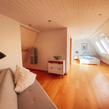 Appartement Rheinloft 3 - Grosse Giebelwohnung Mit Dachterrassen An Der Rheinpromenade
