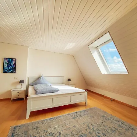 Appartement Rheinloft 3 - Grosse Giebelwohnung Mit Dachterrassen An Der Rheinpromenade *