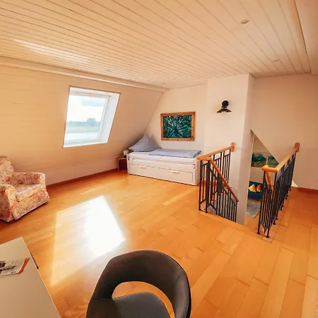 Rheinloft 3 - Grosse Giebelwohnung Mit Dachterrassen An Der Rheinpromenade
