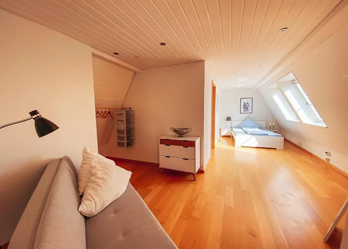 Apartmán Rheinloft 3 - Grosse Giebelwohnung Mit Dachterrassen An Der Rheinpromenade