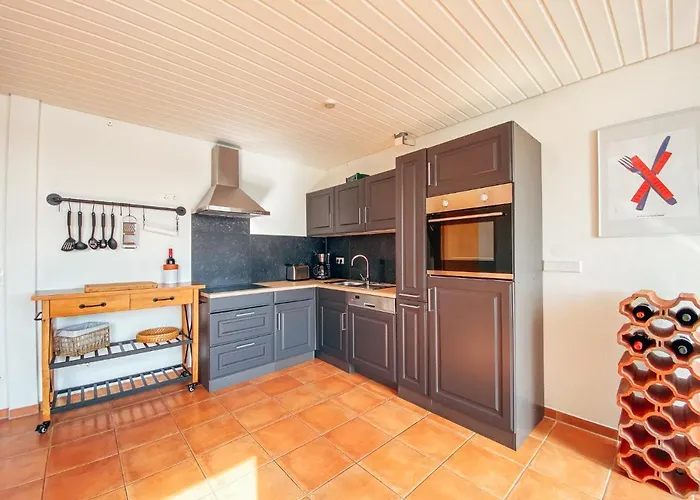 Rheinloft 3 - Grosse Giebelwohnung Mit Dachterrassen An Der Rheinpromenade